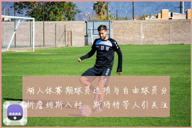 湖人休赛期球员选项与自由球员分析詹姆斯八村塁斯玛特等人引关注