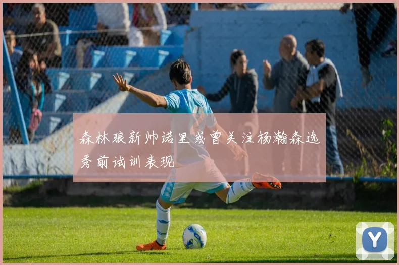 森林狼新帅诺里或曾关注杨瀚森选秀前试训表现
